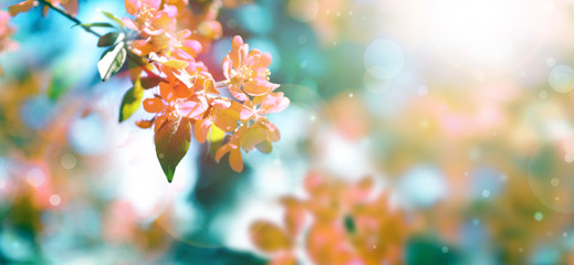 欢迎使用Z-BlogPHP！