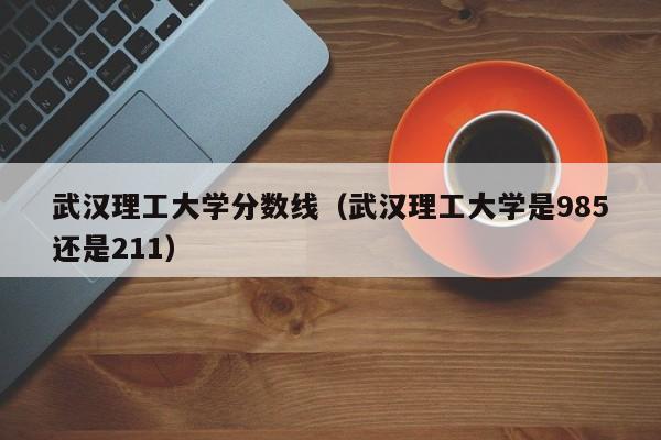武汉理工大学分数线(武汉理工大学是985还是211)
