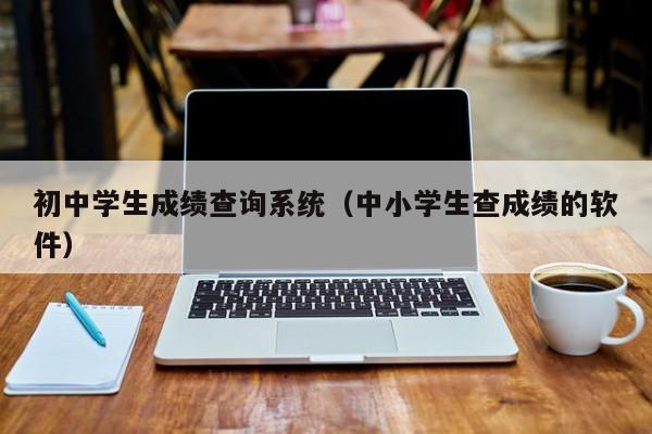 初中学生成绩查询系统(中小学生查成绩的软件)