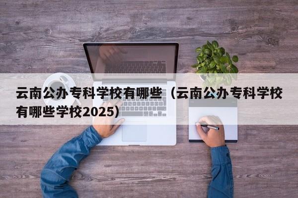 云南公办专科学校有哪些(云南公办专科学校有哪些学校2025)