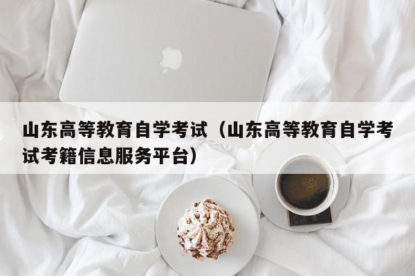 山东高等教育自学考试(山东高等教育自学考试考籍信息服务平台)