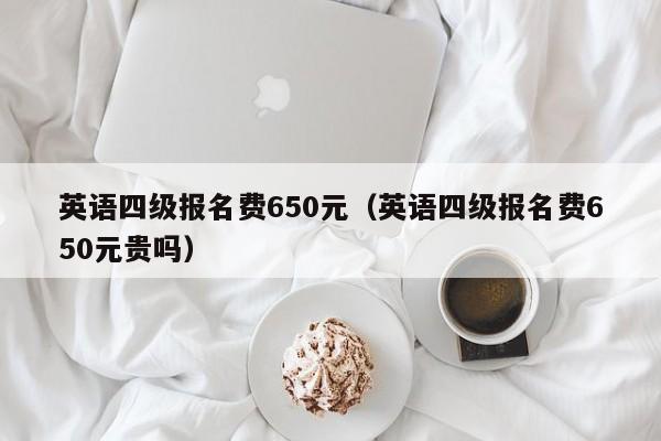 英语四级报名费650元(英语四级报名费650元贵吗)