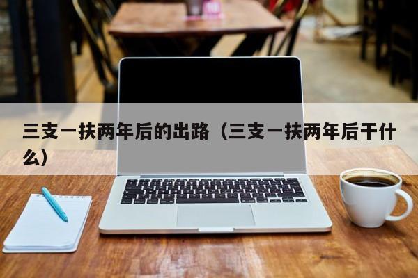 三支一扶两年后的出路(三支一扶两年后干什么)