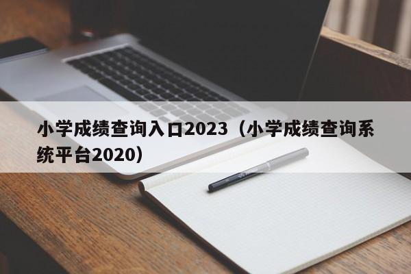 小学成绩查询入口2023(小学成绩查询系统平台2020)