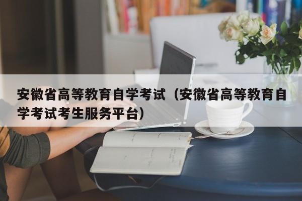 安徽省高等教育自学考试(安徽省高等教育自学考试考生服务平台)