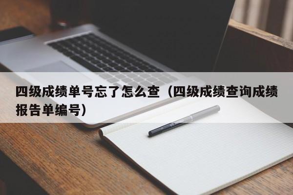四级成绩单号忘了怎么查(四级成绩查询成绩报告单编号)