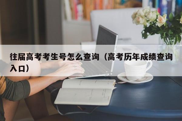 往届高考考生号怎么查询(高考历年成绩查询入口)