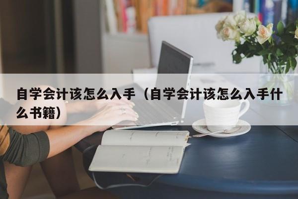 自学会计该怎么入手(自学会计该怎么入手什么书籍)