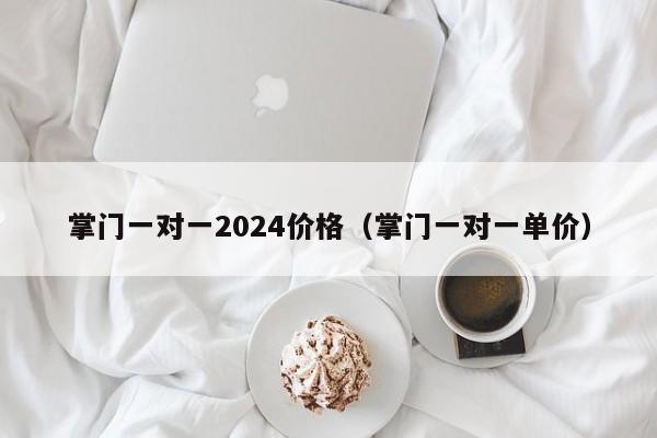 掌门一对一2024价格(掌门一对一单价)