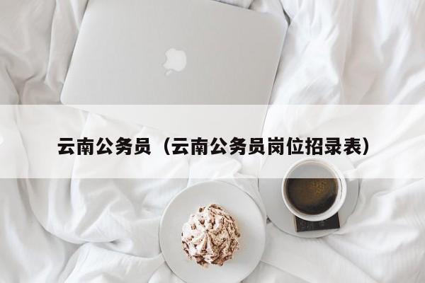 云南公务员(云南公务员岗位招录表)