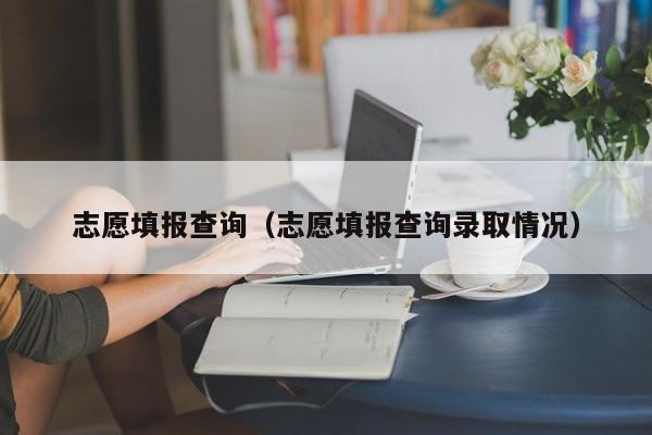 志愿填报查询(志愿填报查询录取情况)