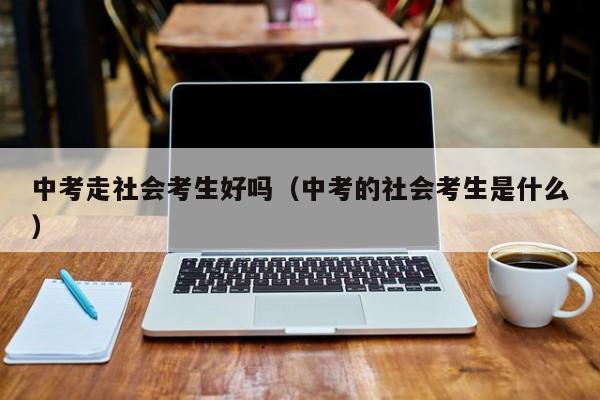 中考走社会考生好吗(中考的社会考生是什么)