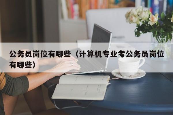 公务员岗位有哪些(计算机专业考公务员岗位有哪些)