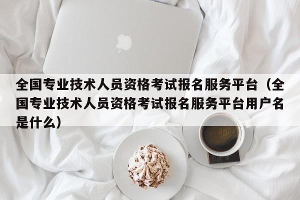 全国专业技术人员资格考试报名服务平台(全国专业技术人员资格考试报名服务平台用户名是什么)