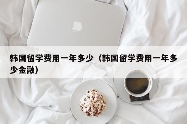 韩国留学费用一年多少(韩国留学费用一年多少金融)