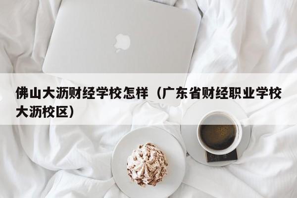 佛山大沥财经学校怎样(广东省财经职业学校大沥校区)