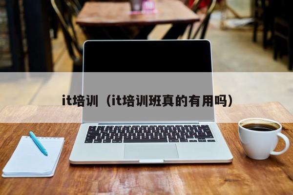 it培训(it培训班真的有用吗)