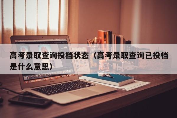 高考录取查询投档状态(高考录取查询已投档是什么意思)