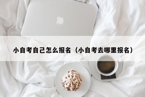 小自考自己怎么报名(小自考去哪里报名)