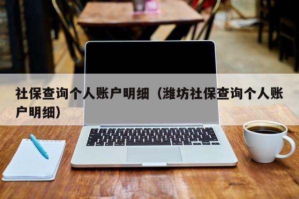 社保查询个人账户明细(潍坊社保查询个人账户明细)